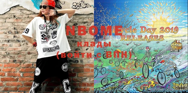 шишки Верея