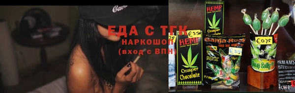 шишки Верея