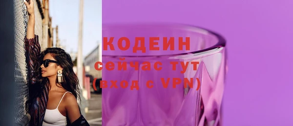 шишки Верея