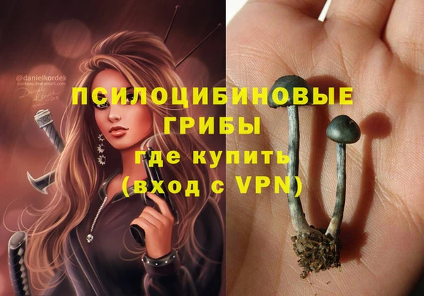 MDMA Бородино