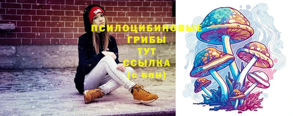 синтетический гашиш Верхний Тагил