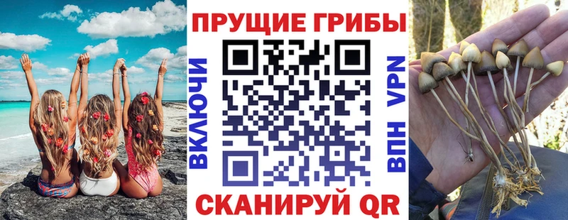 Псилоцибиновые грибы прущие грибы  omg вход  Вязники 